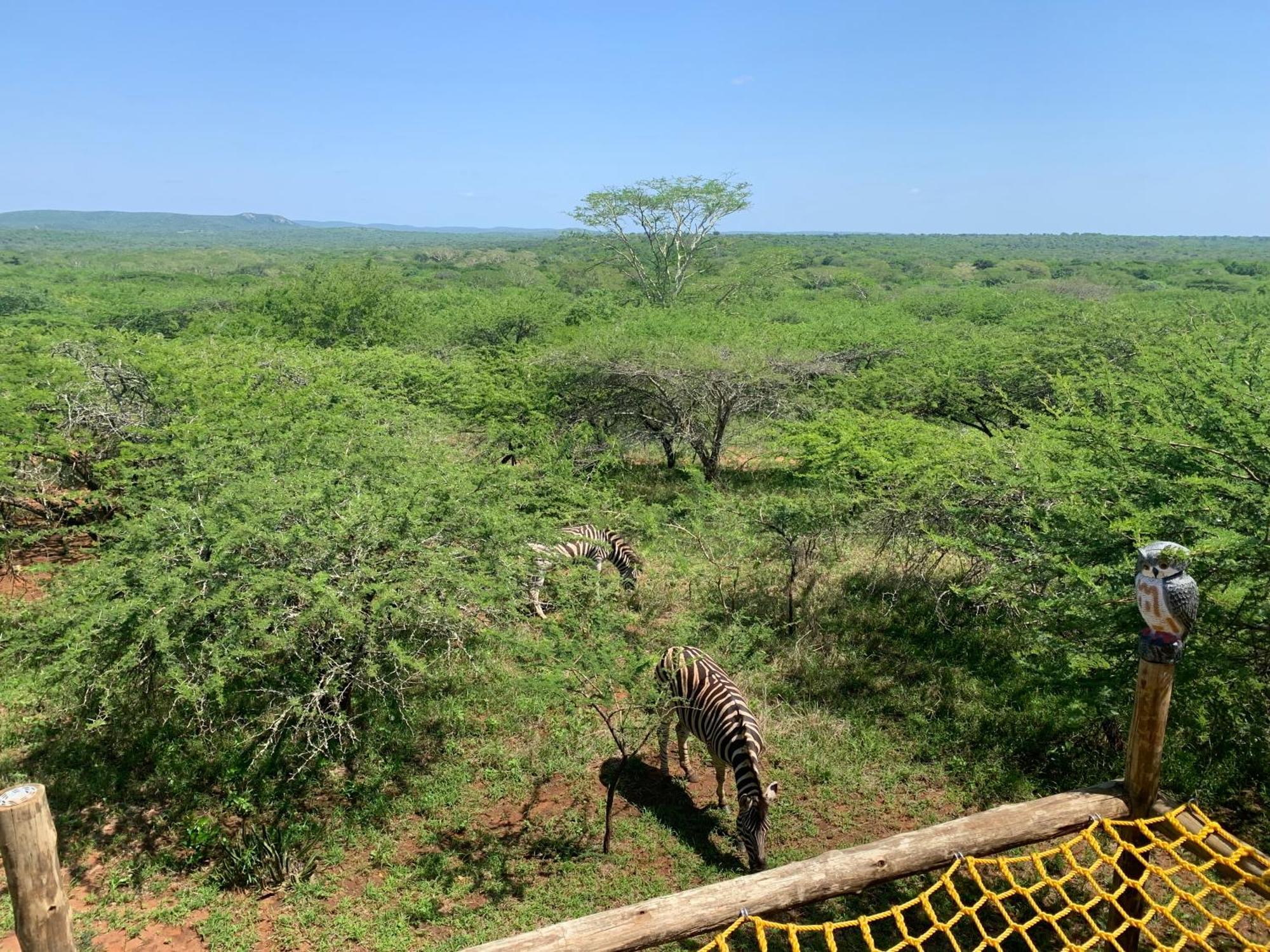 Villa Mudhouse Zululand Hluhluwe Esterno foto