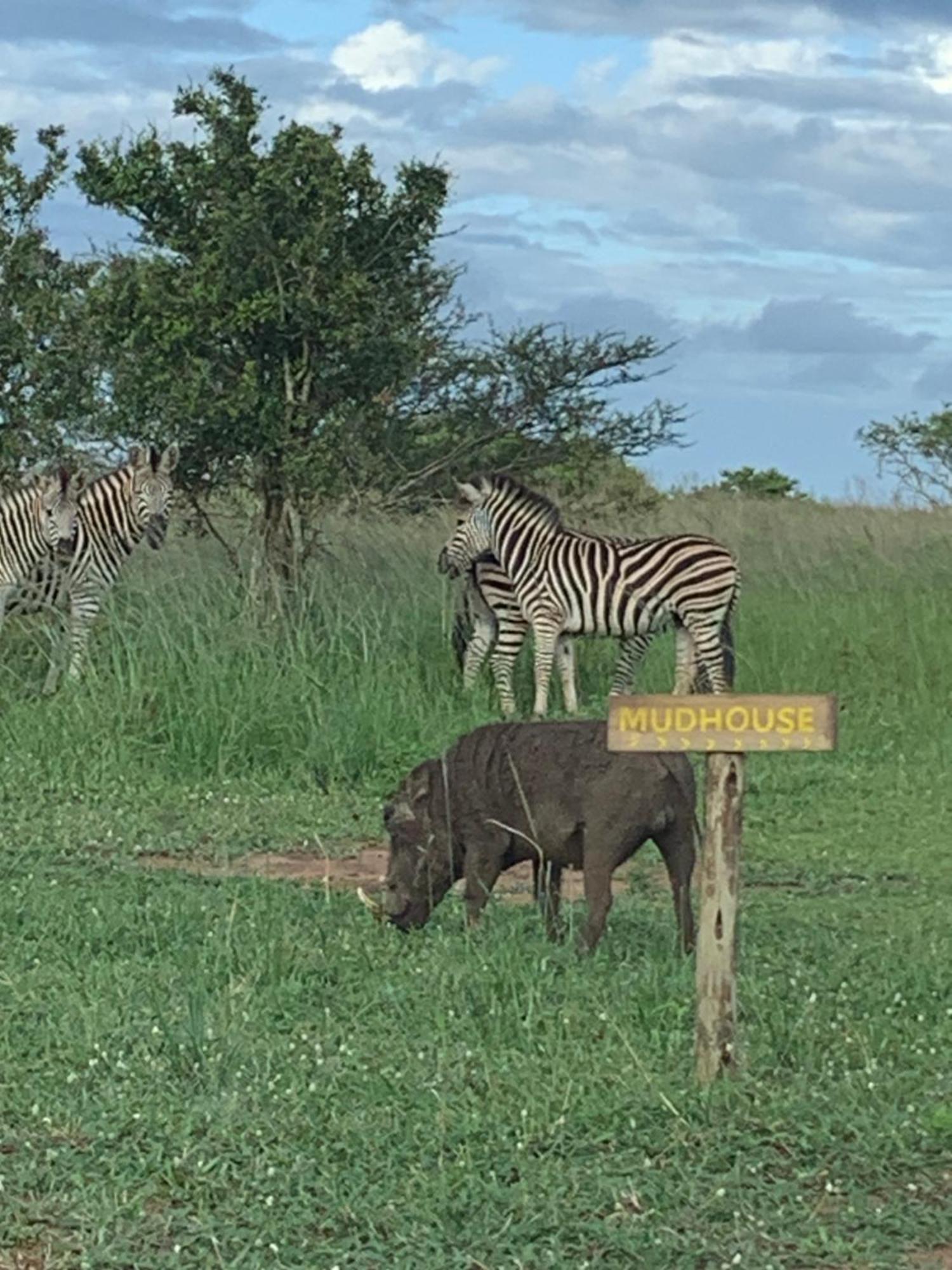 Villa Mudhouse Zululand Hluhluwe Esterno foto