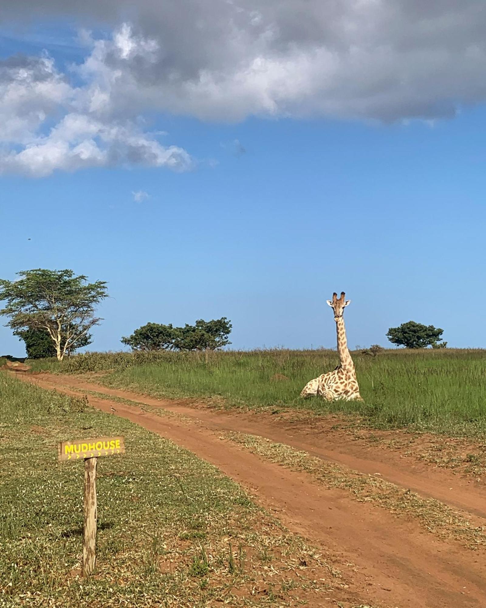 Villa Mudhouse Zululand Hluhluwe Esterno foto