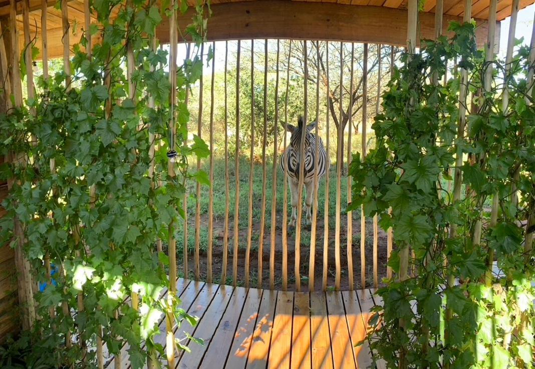 Villa Mudhouse Zululand Hluhluwe Esterno foto